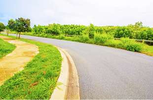 Main Road Facing